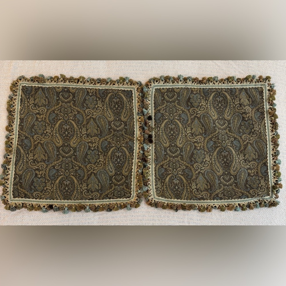 Elegant Paisley Throw Pillow Forms- 19” Square